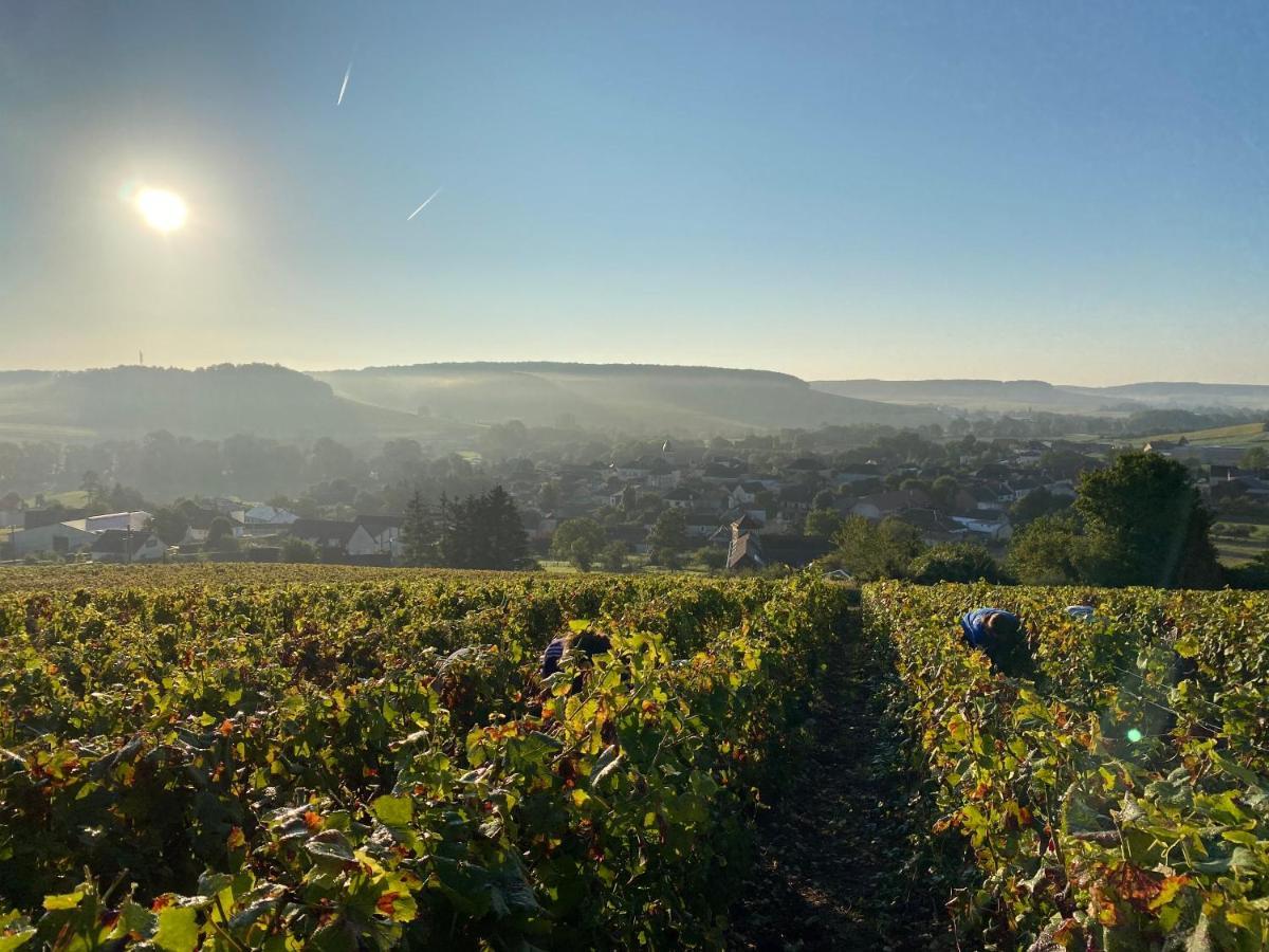 Nuit'S Feerique En Champagne Villa Meurville Dış mekan fotoğraf