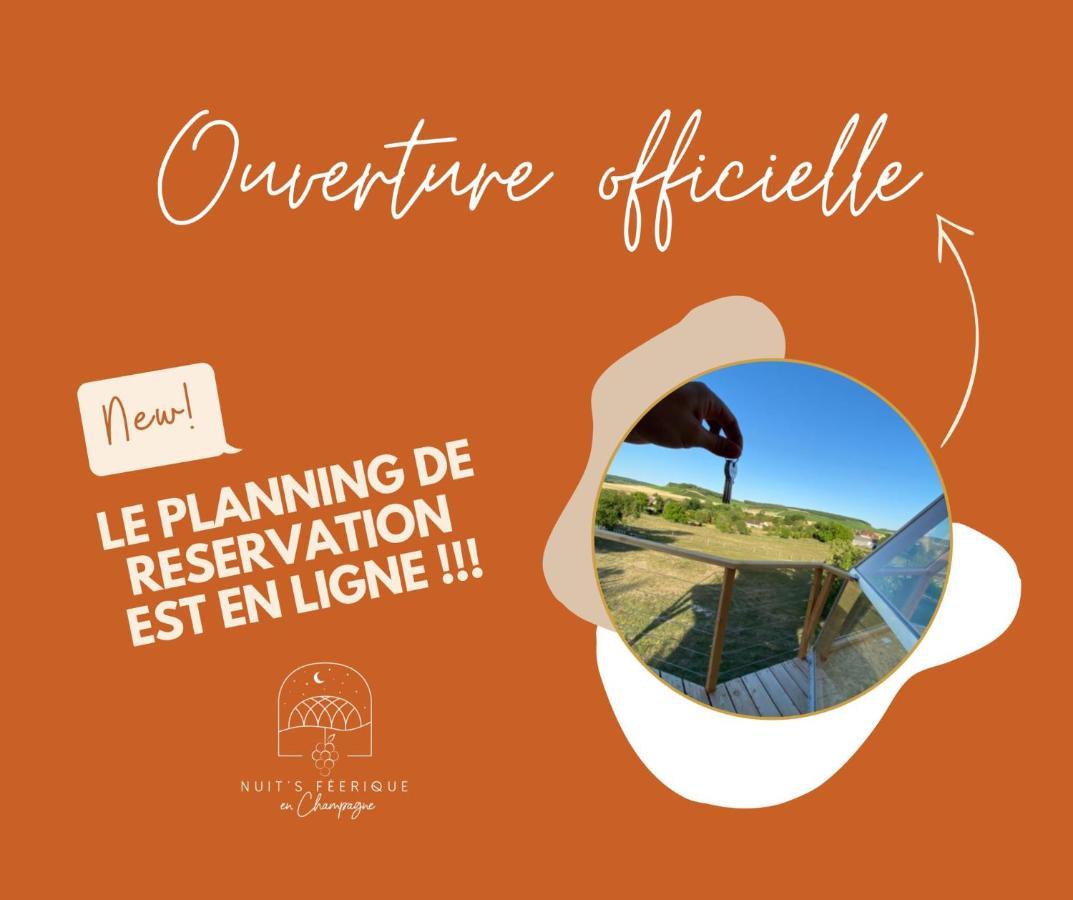 Nuit'S Feerique En Champagne Villa Meurville Dış mekan fotoğraf